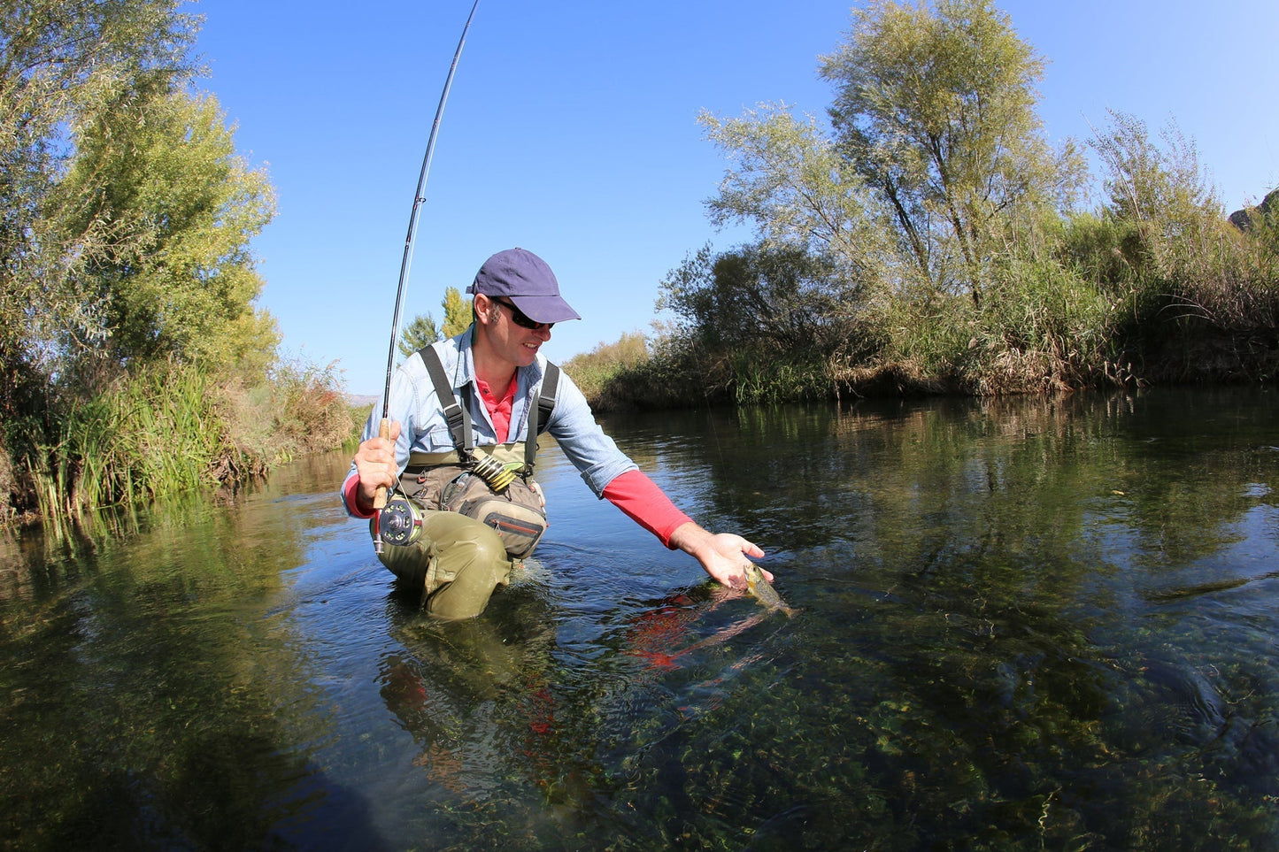 The Fly Fishing Place Quill Gordon Classic Dry Fly - 6 Flies Size 14