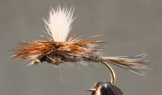 Stone Creek Parachute Adams
