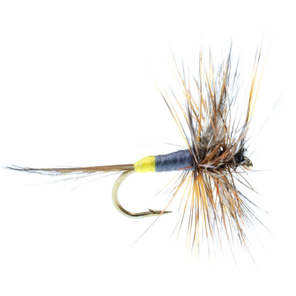 The Fly Fishing Place Adams Female Classic Dry Fly - 1 Dozen Flies - Hook Size 12