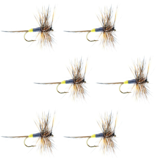 The Fly Fishing Place Adams Female Classic Dry Fly - 6 Flies - Hook Size 12