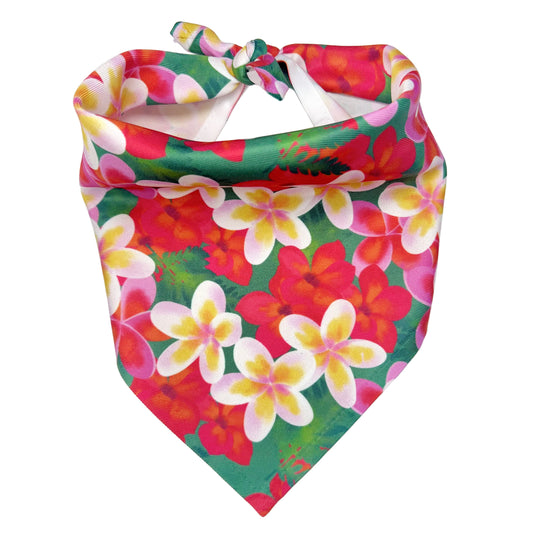 2 Hounds Design Aloha Dog Bandana