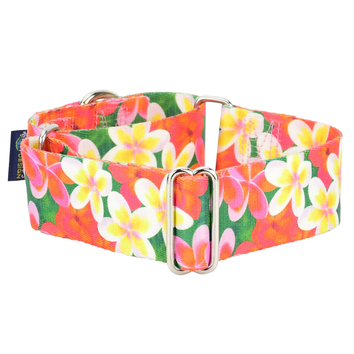2 Hounds Design Aloha Martingale Dog Collar – EarthStyle
