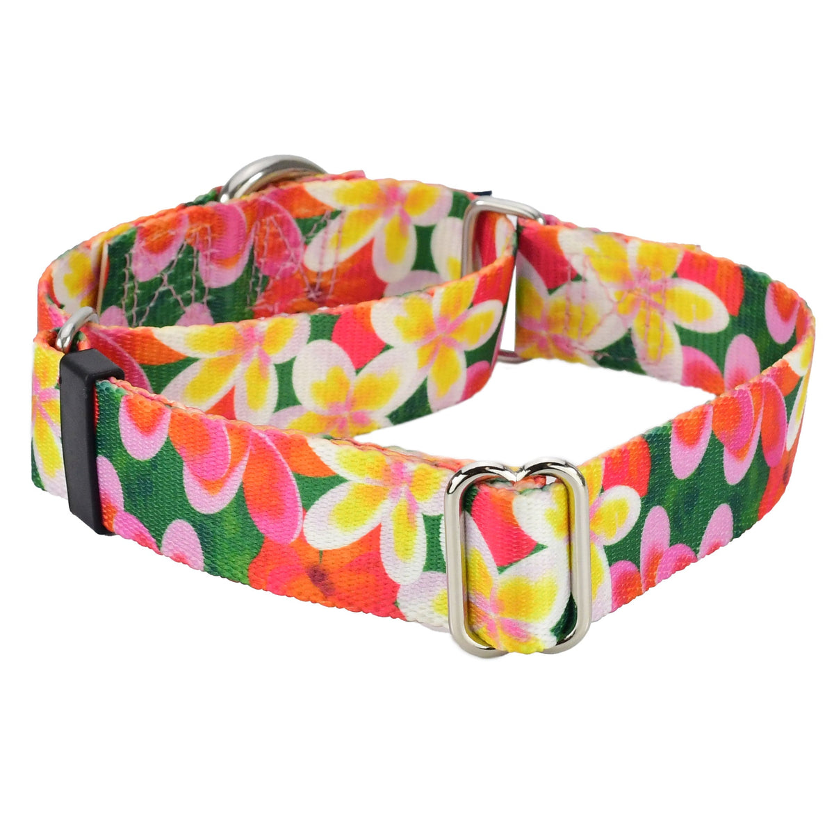 2 Hounds Design Aloha Martingale Dog Collar – EarthStyle
