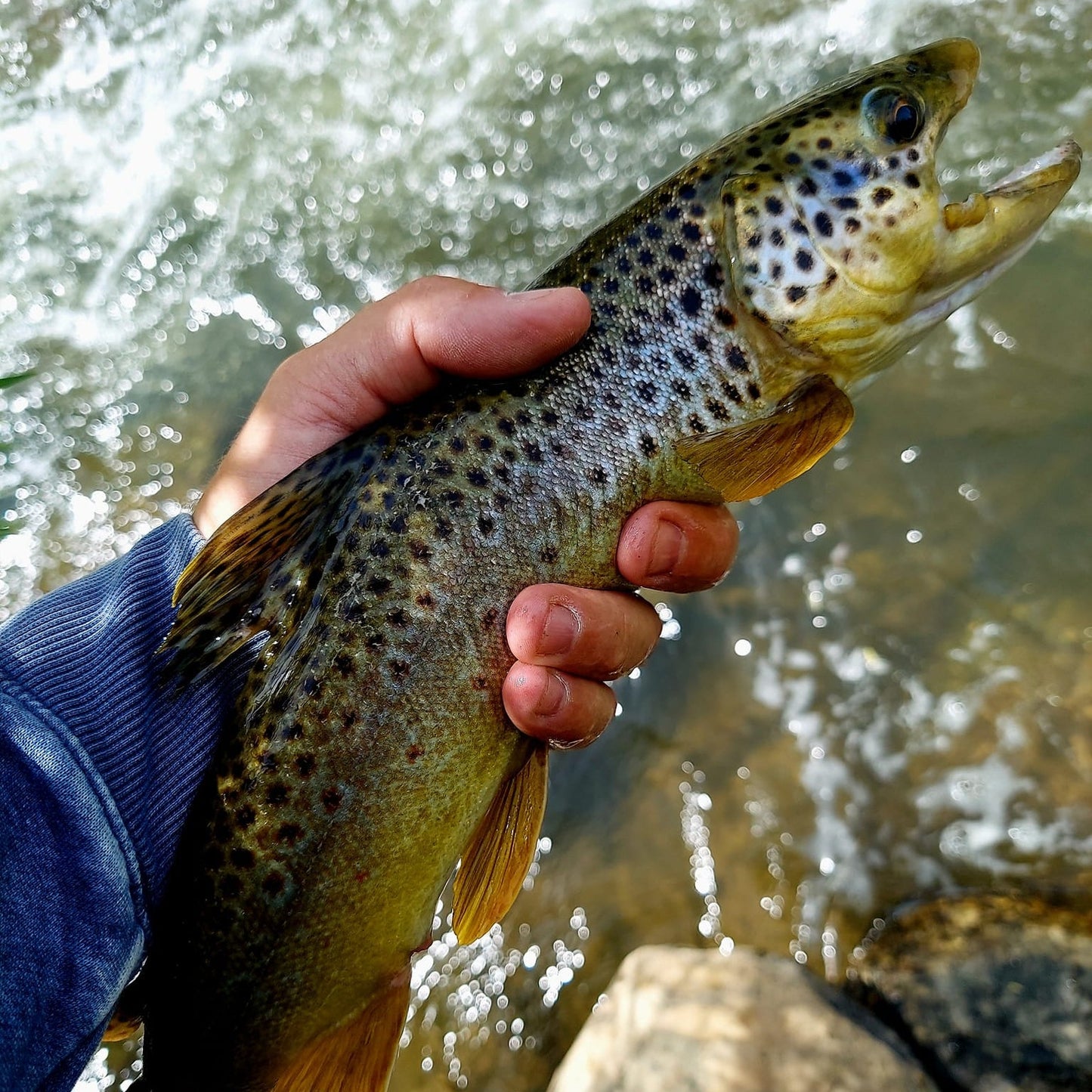 Wasatch Tenkara Rods Command Force