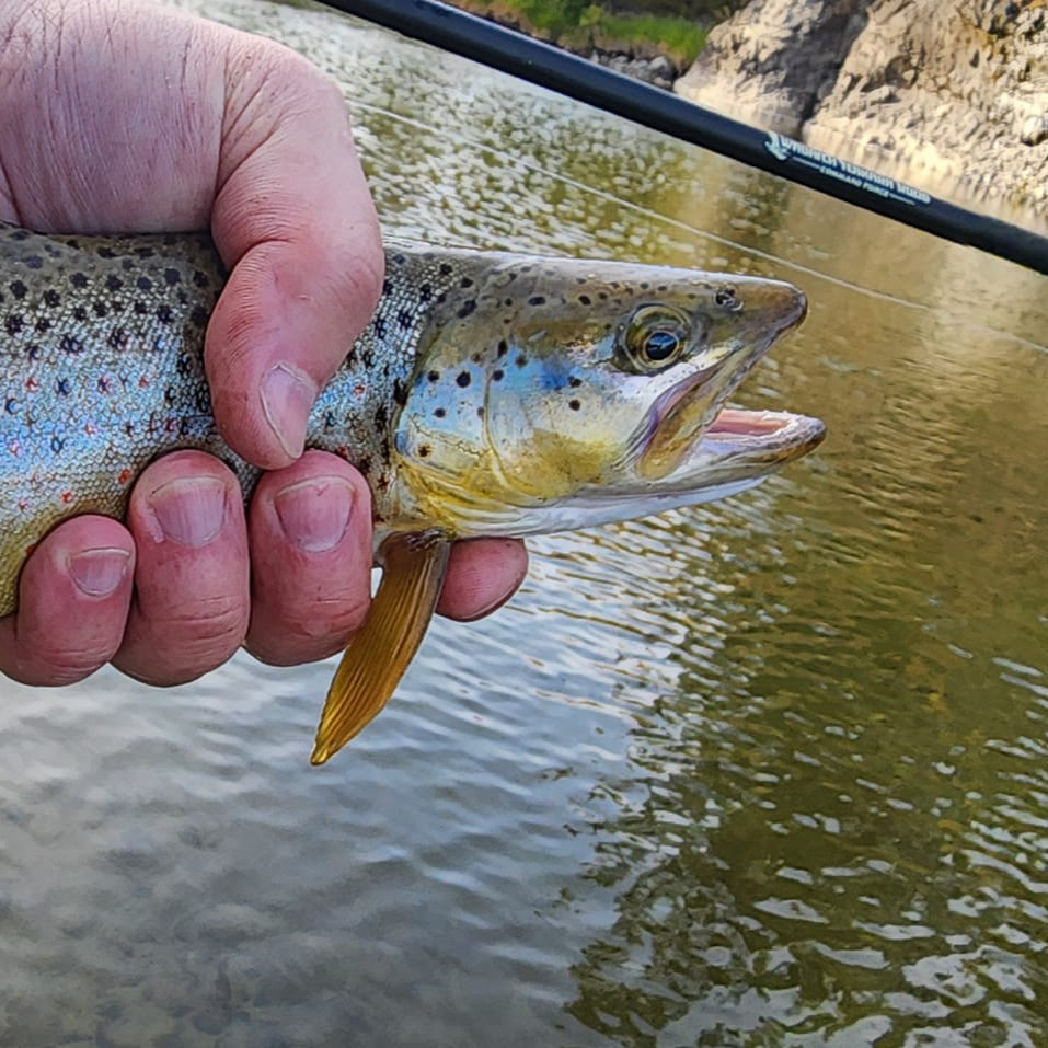 Wasatch Tenkara Rods Command Force