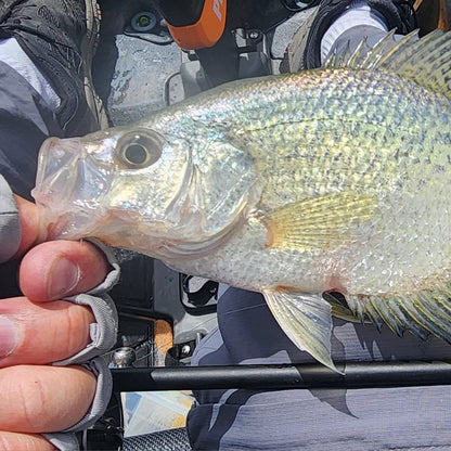 Wasatch Tenkara Rods Command Force