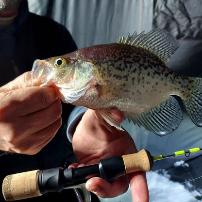 Wasatch Tenkara Rods Ice Breaker