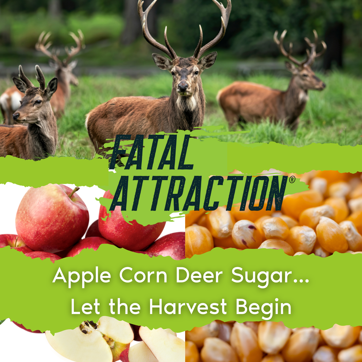 Zone Protects Deer Attractants; Realtree Fatal Attraction Big Buck Bundle