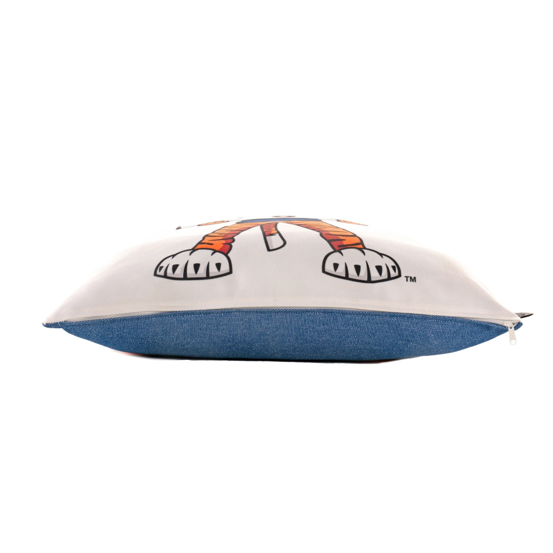 Campus Hammocks Auburn War Eagles Pillow Cover