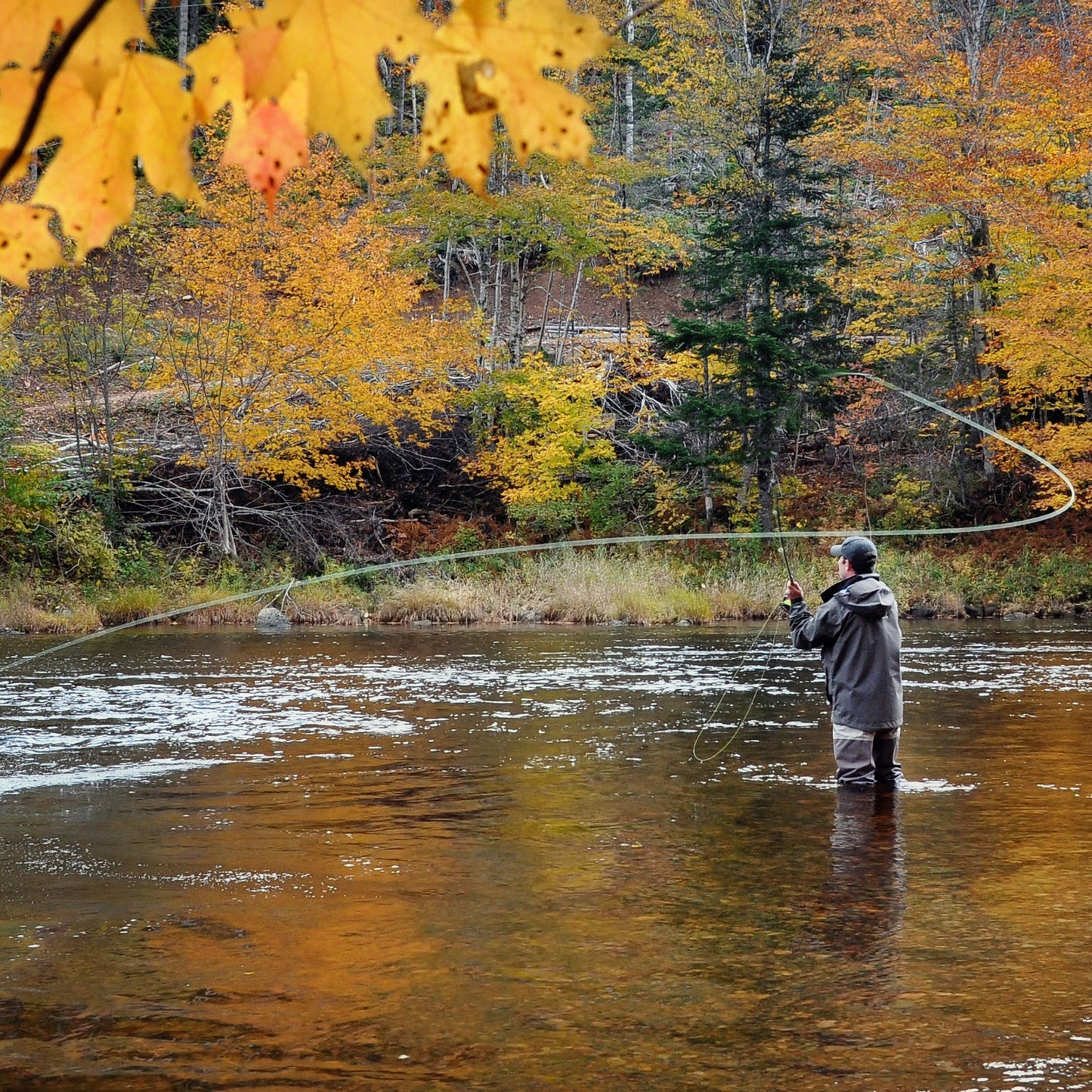 The Fly Fishing Place Barbless Griffiths Gnat Midge Trout Dry Fly Fishing Flies - 6 Flies Size 20
