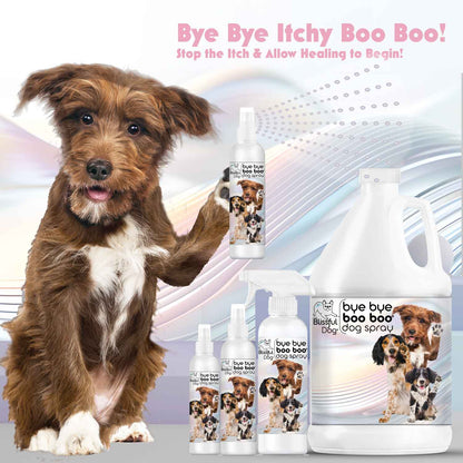 The Blissful Dog Bye Bye Boo Boo™ Dog Spray
