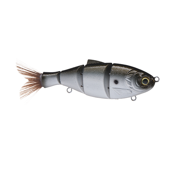 Duckett BD Shad Swimbait