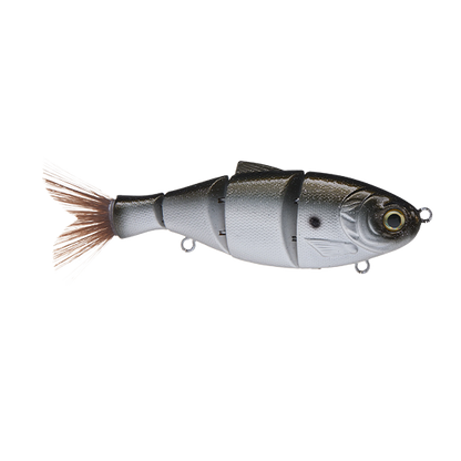 Duckett BD Shad Swimbait
