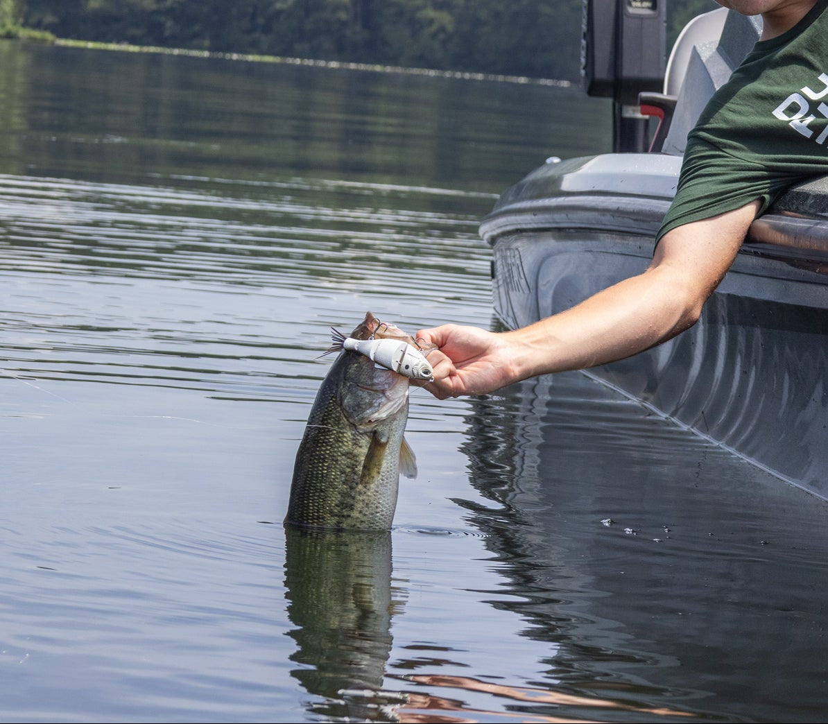 Duckett BD Shad Swimbait