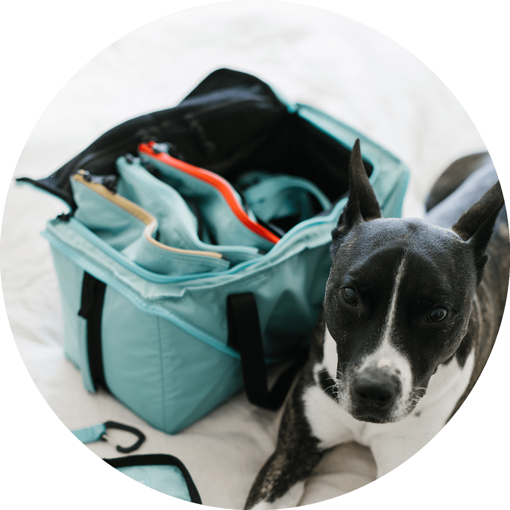 Wildebeest Bernal Travel Go Bag