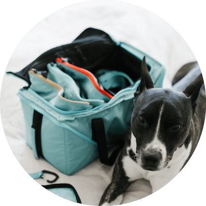 Wildebeest Bernal Travel Go Bag