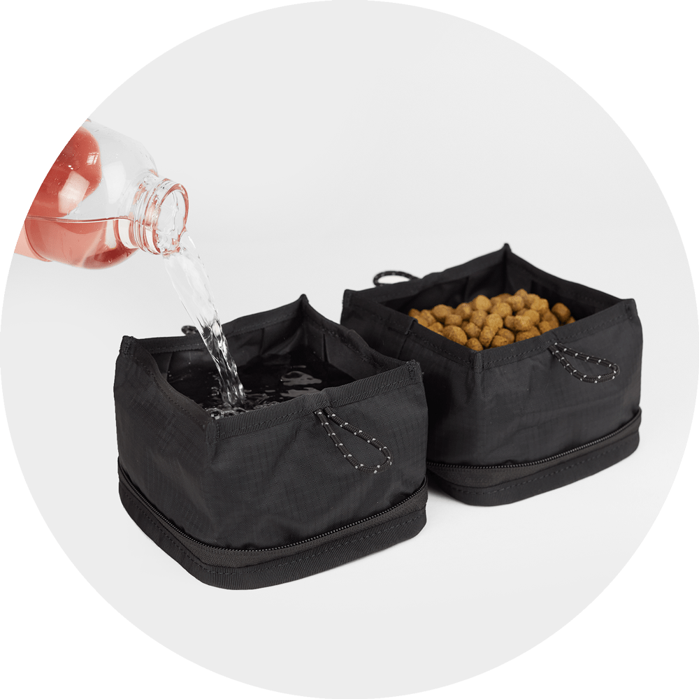 Wildebeest Bernal Pop-Up Dog Bowl