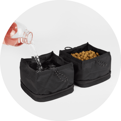 Wildebeest Bernal Pop-Up Dog Bowl