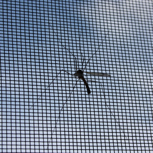 Overland Gear Guy INEOS Grenadier Window Screens