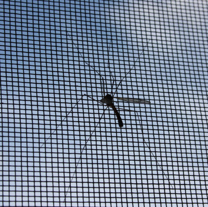 Overland Gear Guy INEOS Grenadier Window Screens