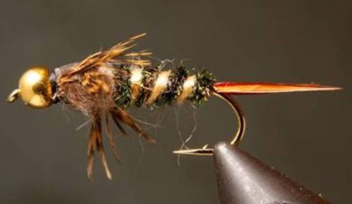Stone Creek BH 20 Incher Stonefly Nymph