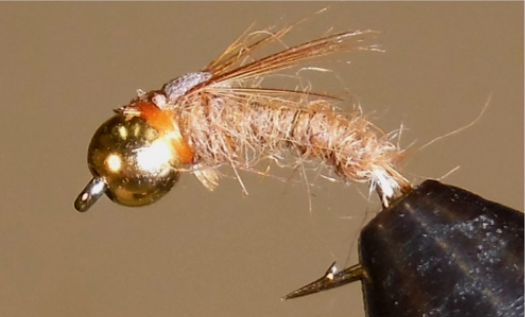 Stone Creek Bead Head Emerger™