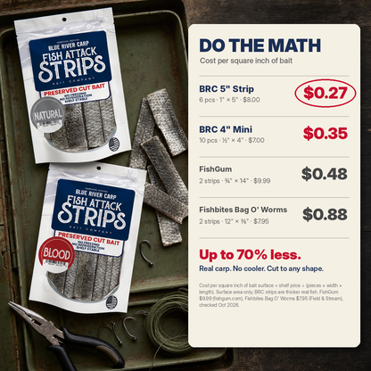 Blue River Carp Fish Attack Strips