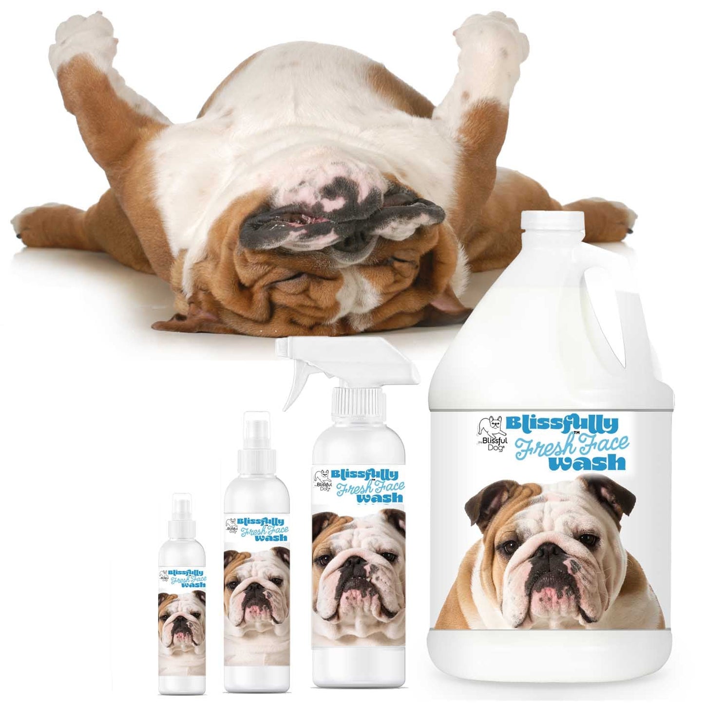 The Blissful Dog Bulldog Blissfully Fresh™ Face Wash