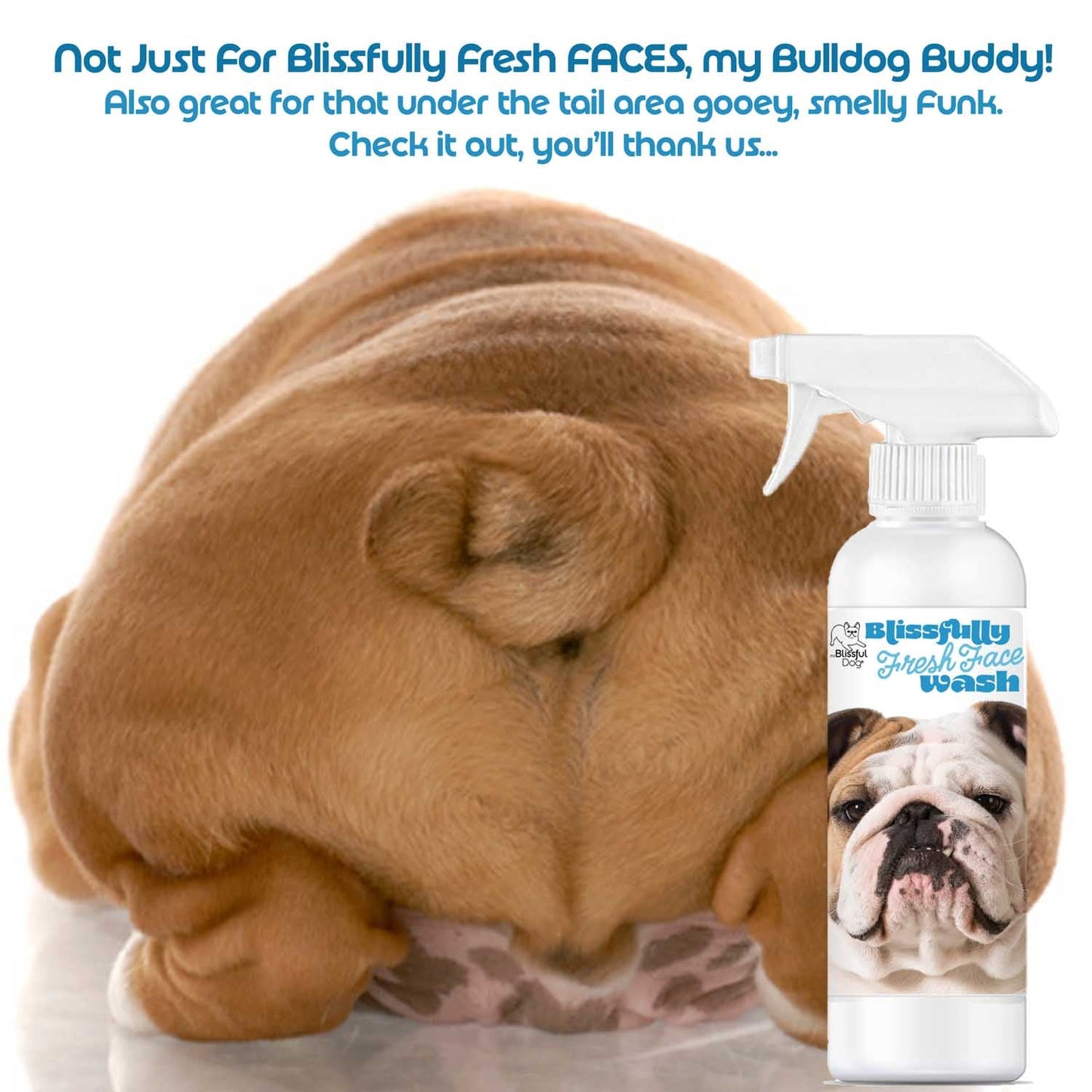 The Blissful Dog Bulldog Blissfully Fresh™ Face Wash