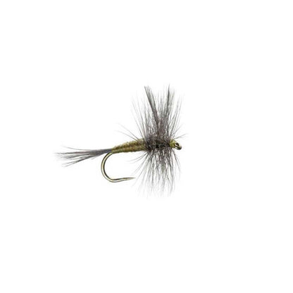 The Fly Fishing Place Barbless Blue Winged Olive BWO Classic Trout Dry Fly Fishing Flies - Set of 6 Flies Size 20