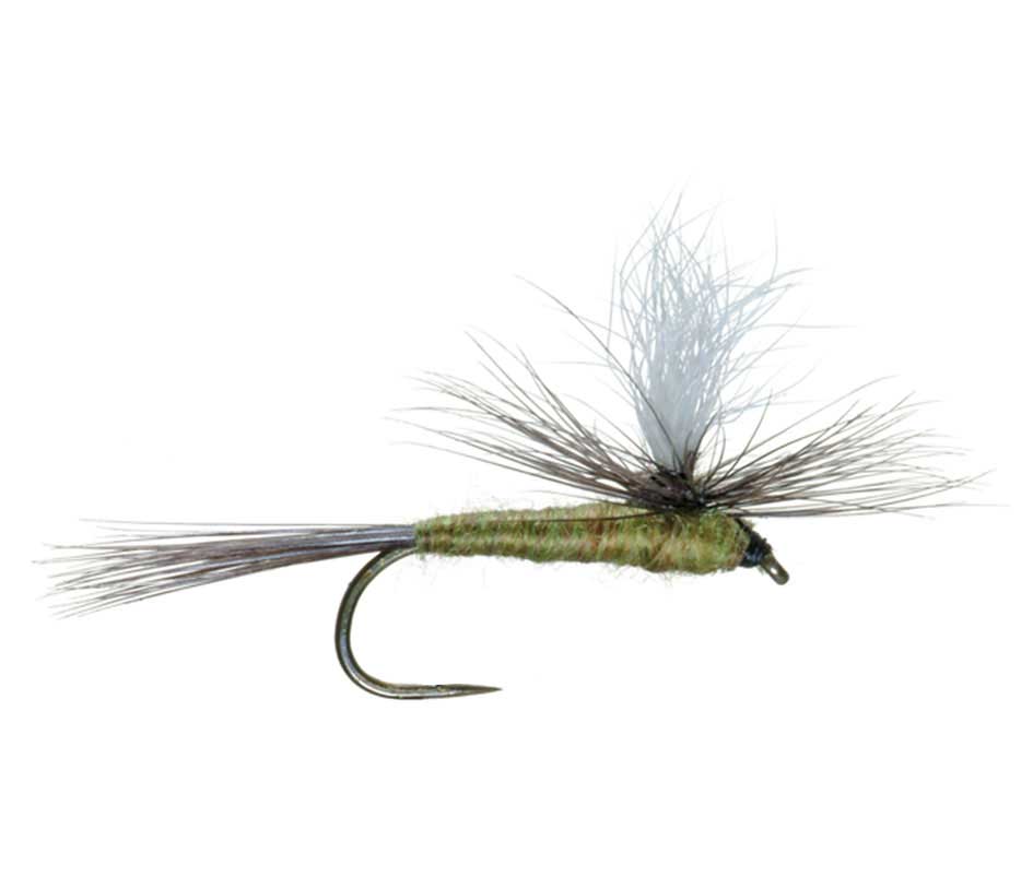 The Fly Fishing Place Barbless Parachute Blue Winged Olive BWO Classic Trout Dry Fly Fishing Flies - Set of 6 Flies Size 18