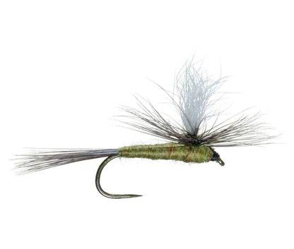 The Fly Fishing Place Barbless Parachute Blue Winged Olive BWO Classic Trout Dry Fly Fishing Flies - Set of 6 Flies Size 18