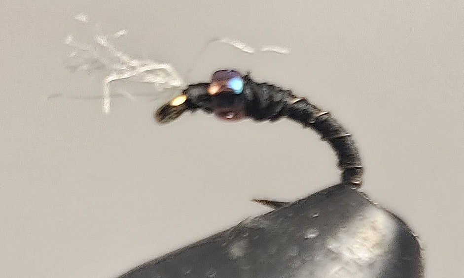 Stone Creek Barbed Wire™ - Midge