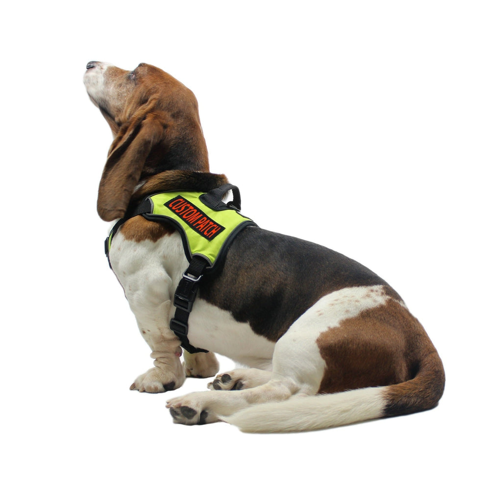 Dogline Personalized Removable Patches (Set of 2)