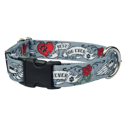 2 Hounds Design Best Dog Ever Buckle Martingale Dog Collar – EarthStyle (1" Only)