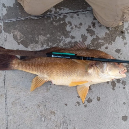 Wasatch RodZilla Tenkara Rod