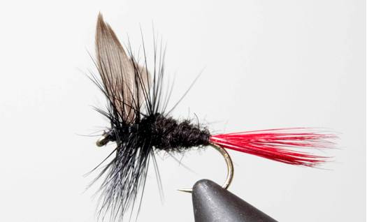 Stone Creek Black Gnat - Black Tail or Red Tail