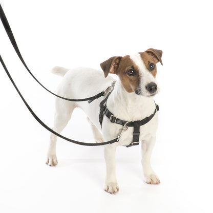 2 Hounds Design Burgundy Freedom No-Pull Dog Harness