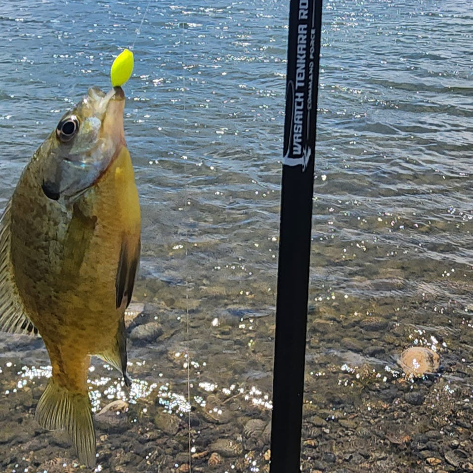 Wasatch Tenkara Rods Command Force