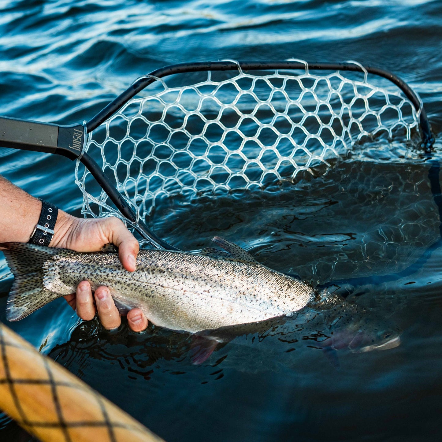 Rising Fishing Boat Net