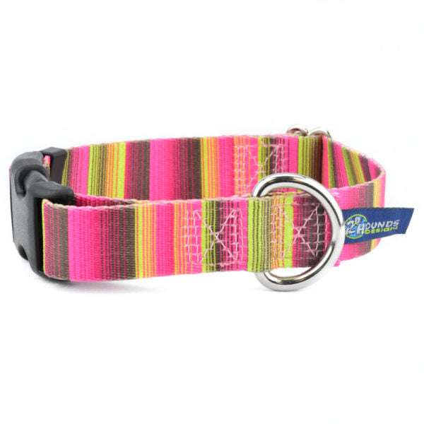 2 Hounds Design Bonnie Buckle Martingale Dog Collar – EarthStyle