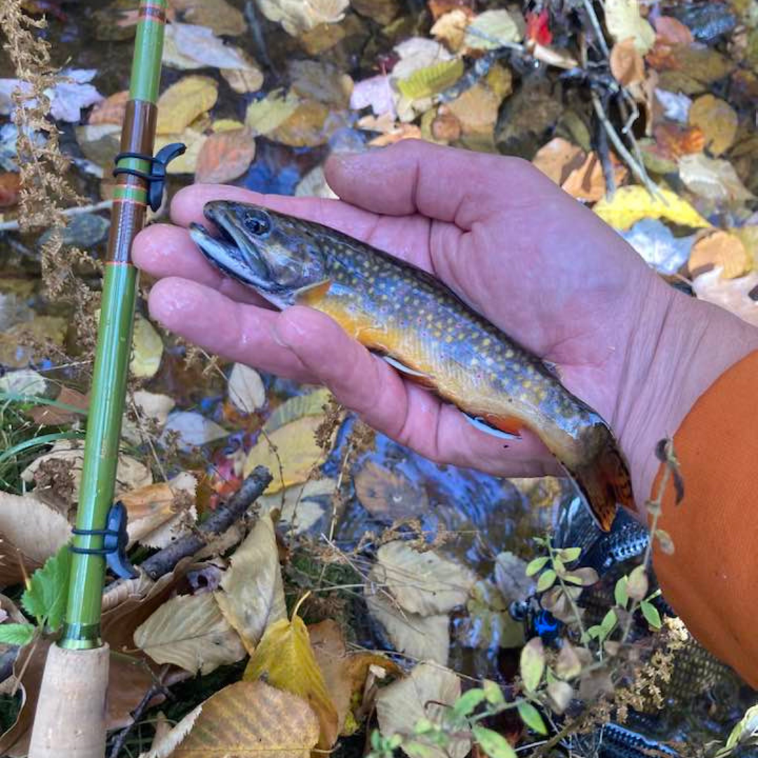 Wasatch "Baby" RodZilla Tenkara Rod
