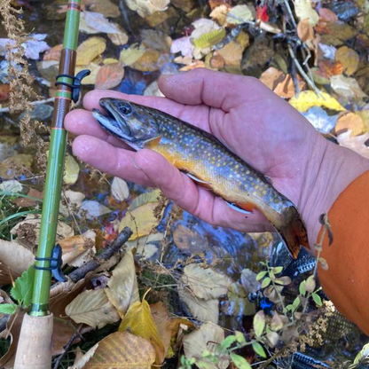 Wasatch "Baby" RodZilla Tenkara Rod