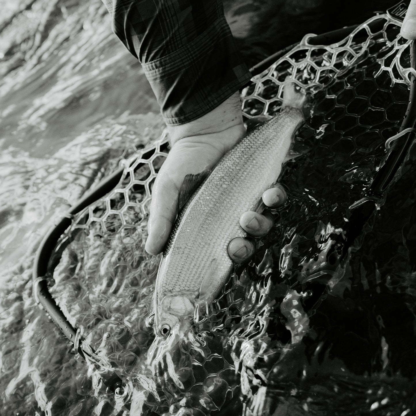 Rising Fishing Brookie Net Package