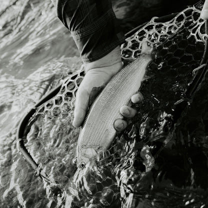 Rising Fishing Brookie Net Package