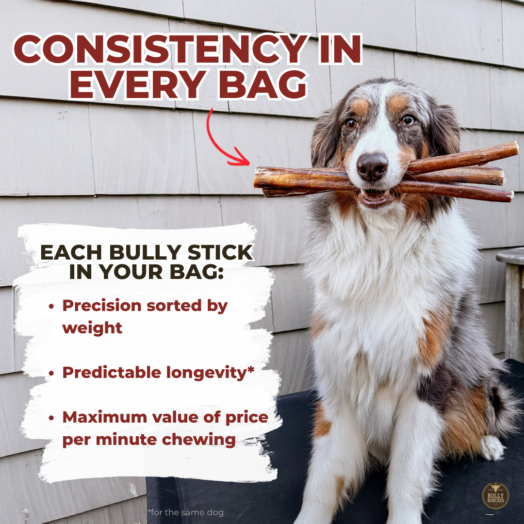 Bully Bunches - Bully Bunches Puppy Pack