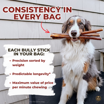 Bully Bunches - Bully Bunches Puppy Pack