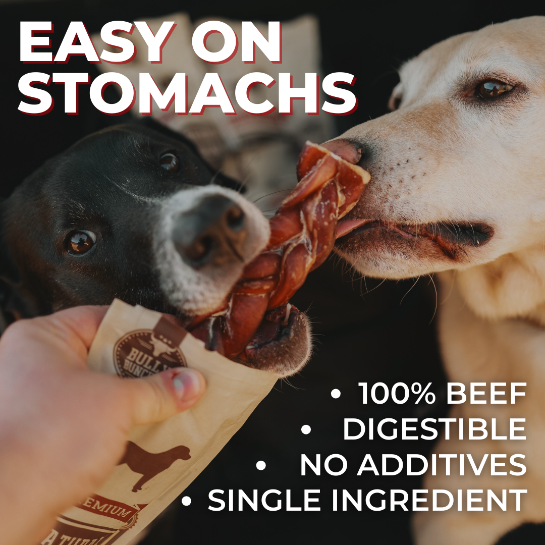Bully Bunches - Bully Bunches Puppy Pack