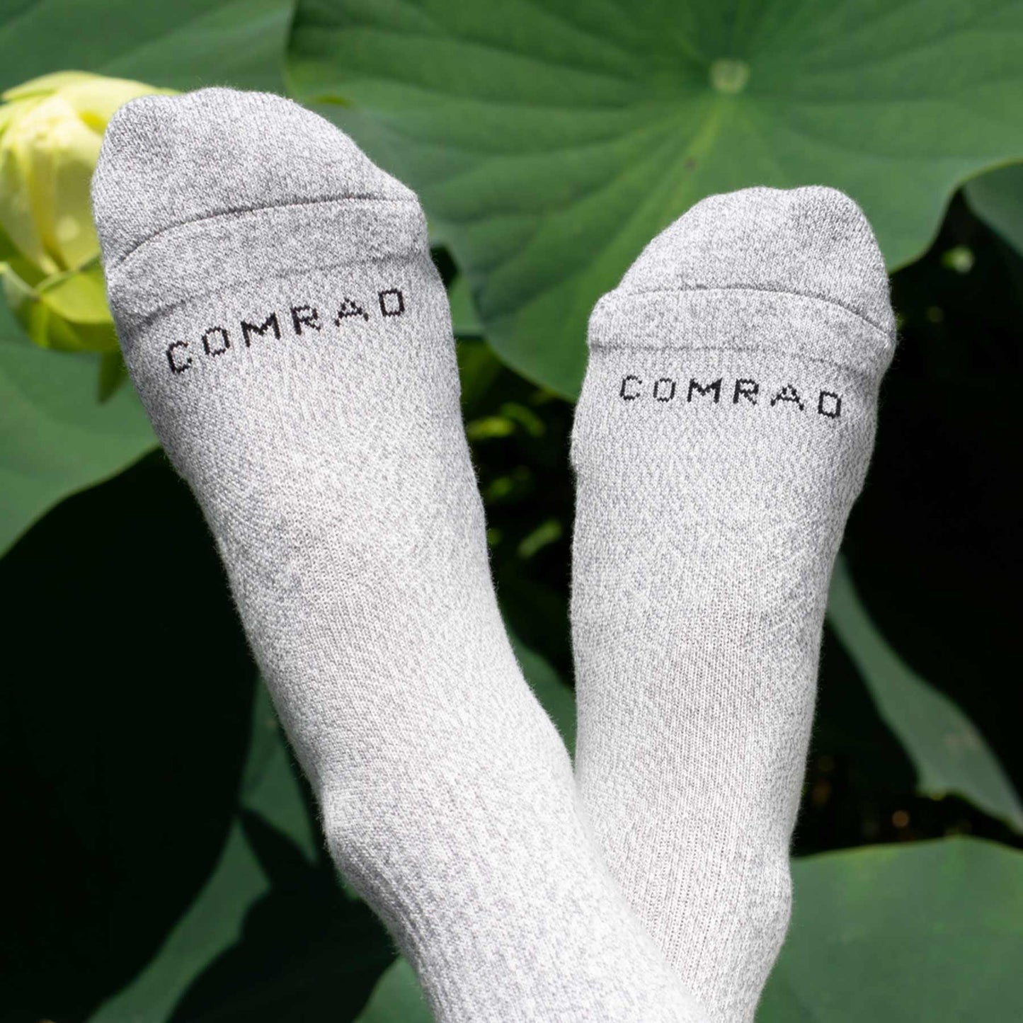 Comrad Combed Cotton Crew Socks