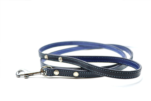 Remarkable Leather Goods Limited Edition Light Blue Stitched Dog Leash